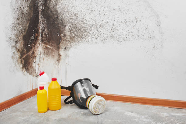 Best Crawl Space Mold Removal  in Moulton, AL