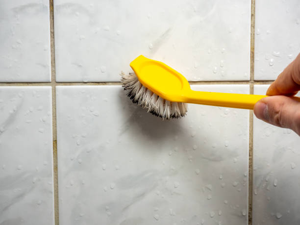 Best Affordable Mold Removal  in Moulton, AL