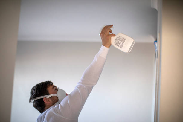 Best Professional Mold Removal  in Moulton, AL