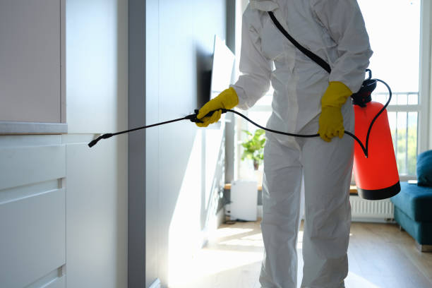 Best Home Mold Removal  in Moulton, AL