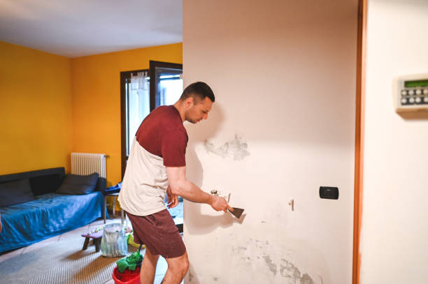 Best Toxic Mold Removal  in Moulton, AL